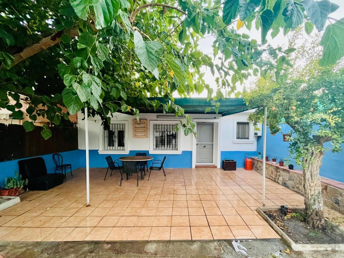 Estudio Adosado Acogedor Con Jardin, Barbacoa Y Parking Privado Alicante Ngoại thất bức ảnh