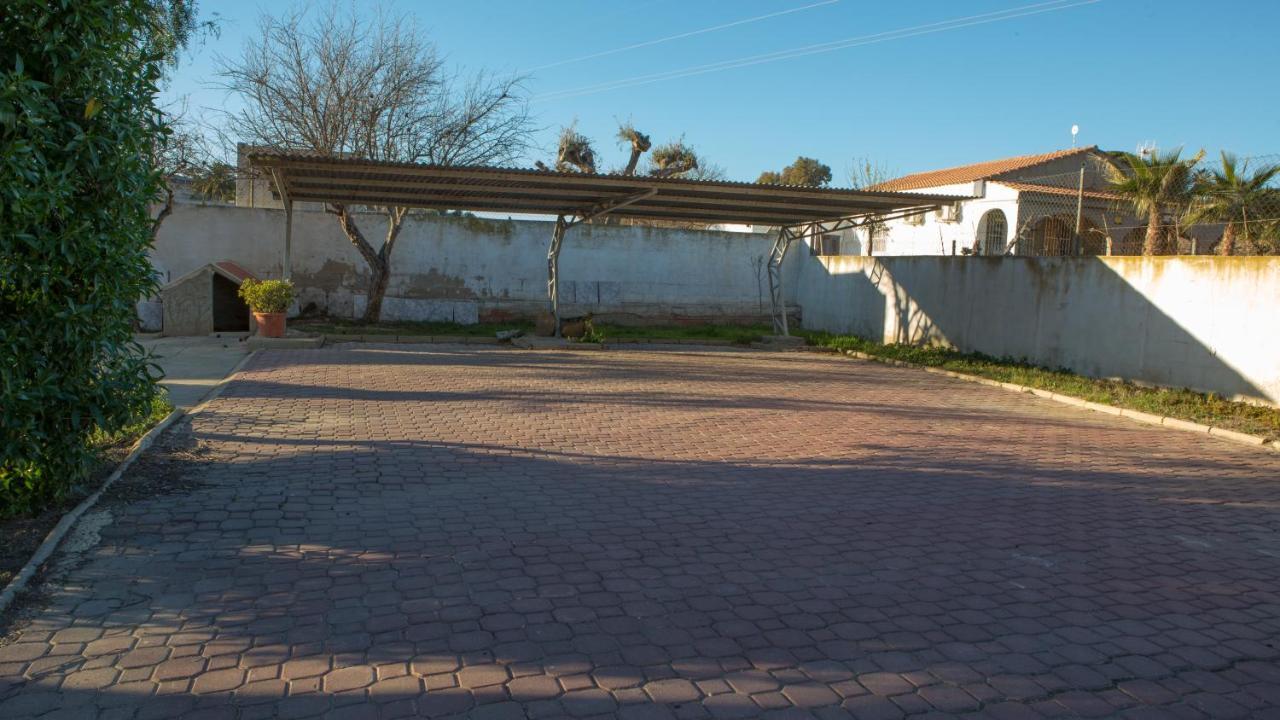 Estudio Adosado Acogedor Con Jardin, Barbacoa Y Parking Privado Alicante Ngoại thất bức ảnh