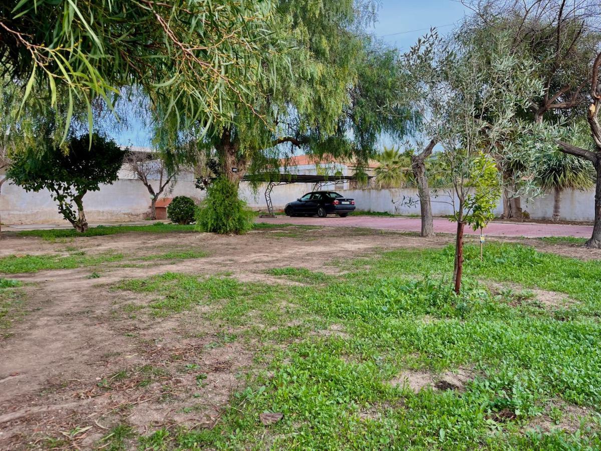 Estudio Adosado Acogedor Con Jardin, Barbacoa Y Parking Privado Alicante Ngoại thất bức ảnh